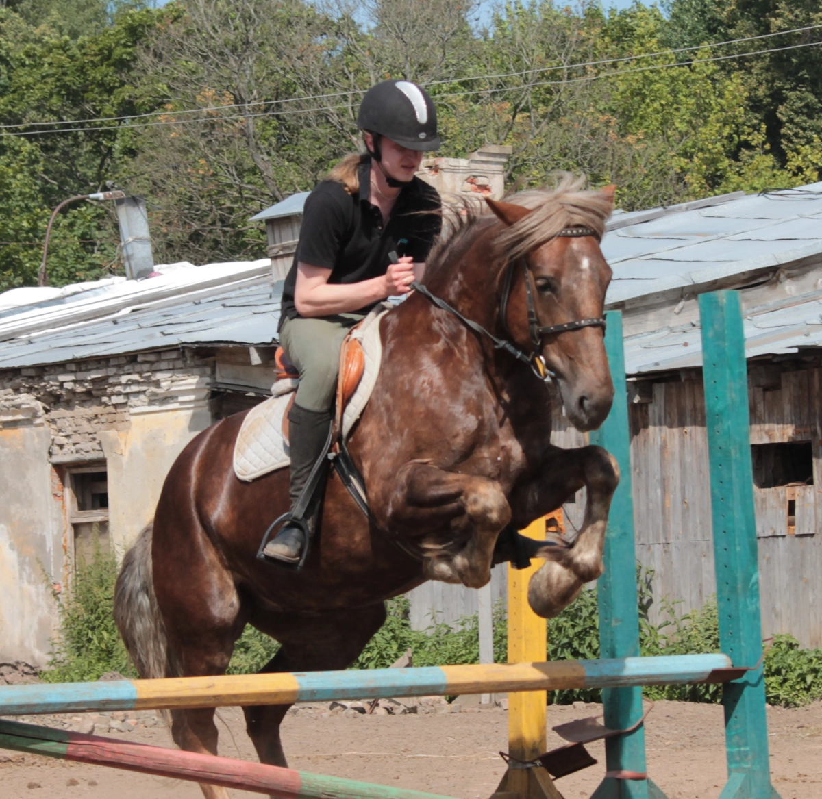 Михаил Александров | Сетка — социальная сеть от hh.ru