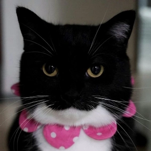 Владислав Алпатов | Сетка — социальная сеть от hh.ru