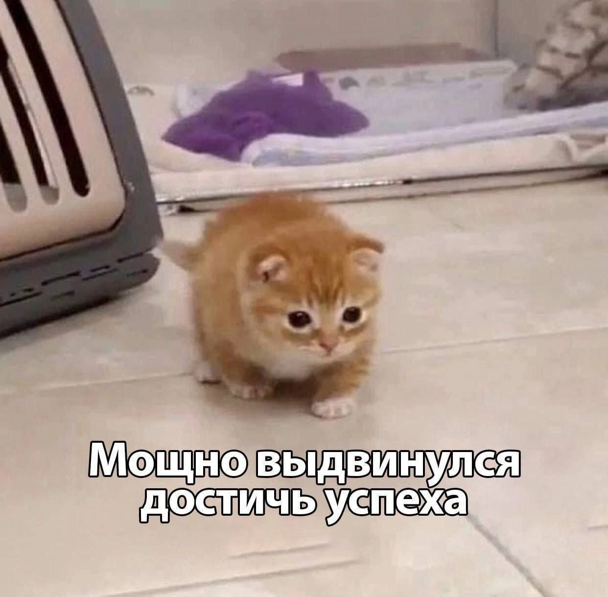  | Сетка — новая социальная сеть от hh.ru