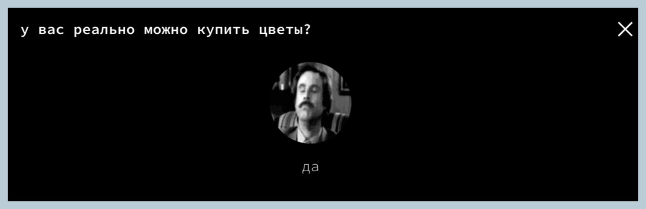 Есть у меня хобби коллекционировать всратые сайты. 
На цветочный магазин Два Стебля наткнулась год назад, когда моя подруга открывала свою цветочную студию | Сетка — новая социальная сеть от hh.ru