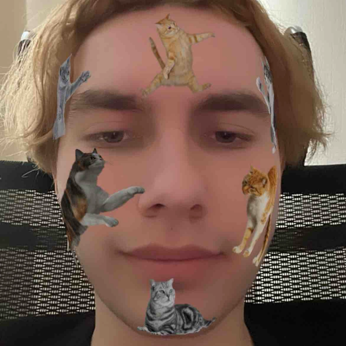 profile avatar