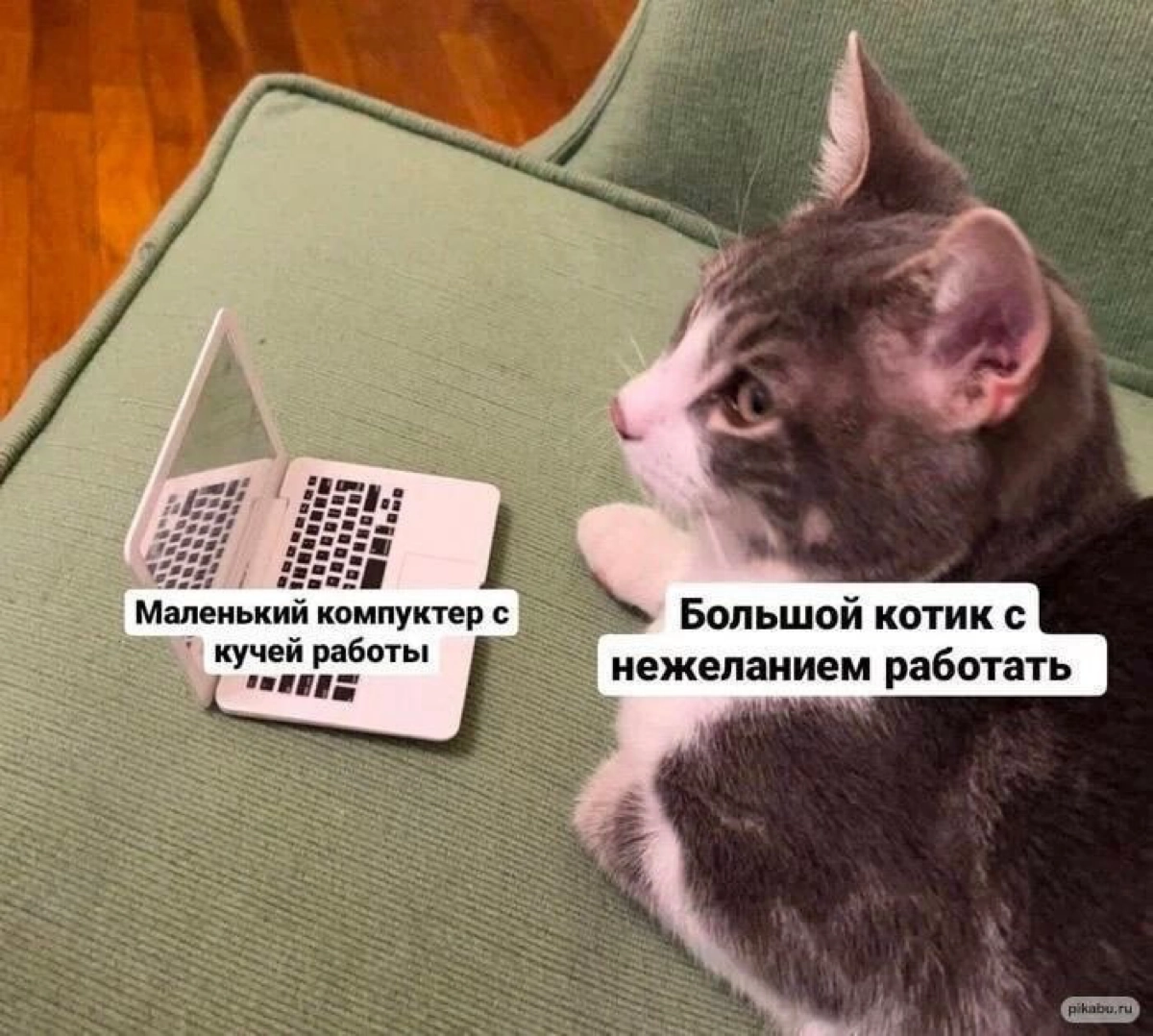 Главные ошибки руководителей в управлении проектом: | Сетка — новая социальная сеть от hh.ru