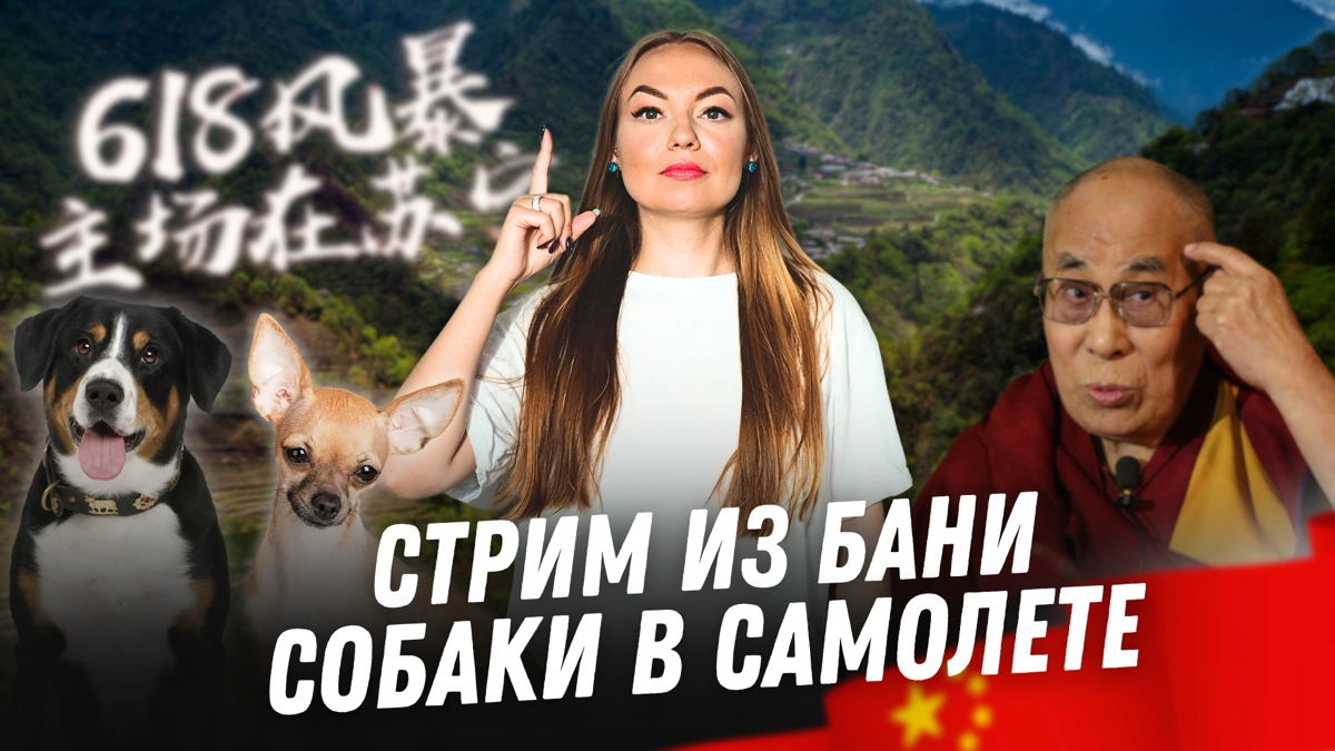 Новости Китая №55 | Собакам разрешили летать в салоне самоле | Сетка — новая социальная сеть от hh.ru