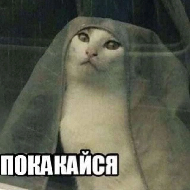  | Сетка — новая социальная сеть от hh.ru