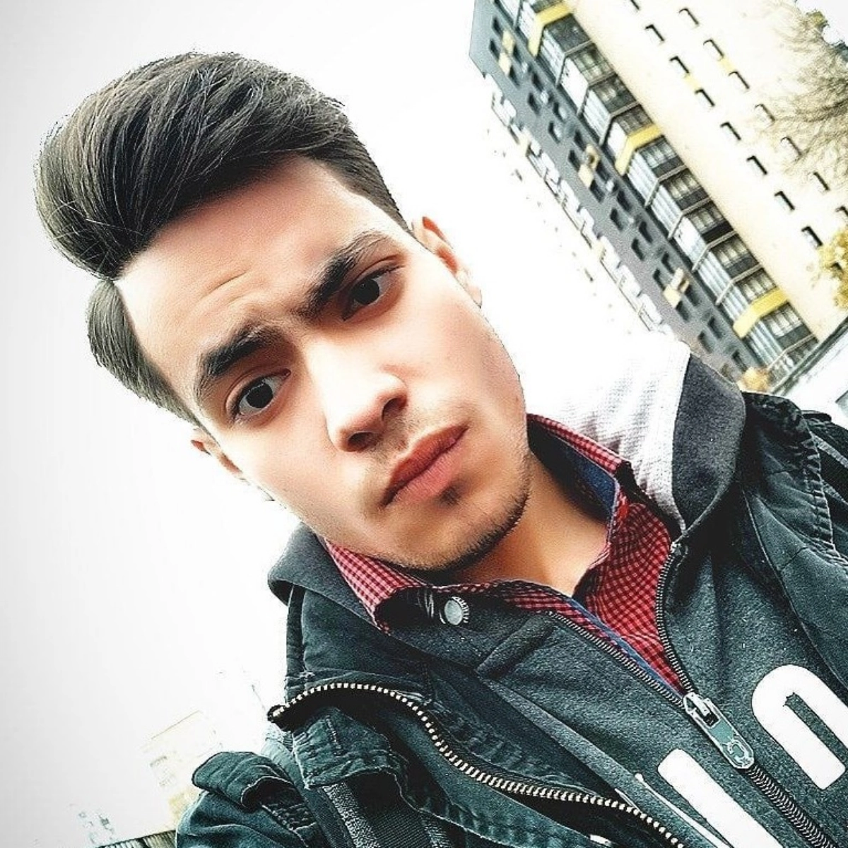 profile avatar