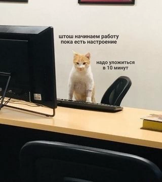 😅 | Сетка — новая социальная сеть от hh.ru