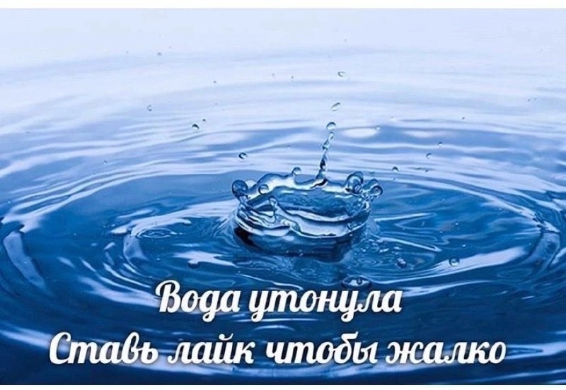  | Сетка — новая социальная сеть от hh.ru