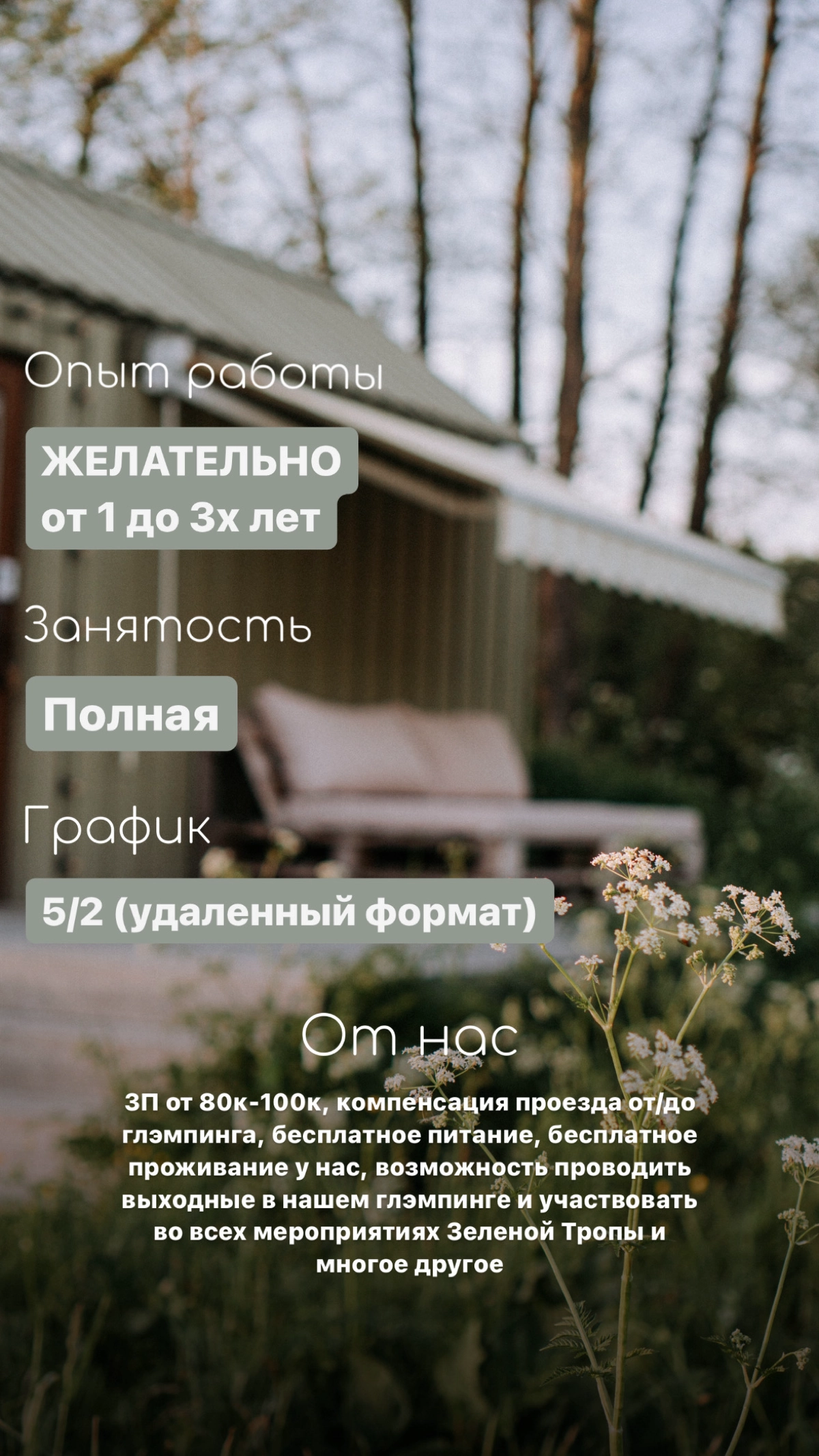 📌Открыта вакансия главного бухгалтера 🧮 | Сетка — новая социальная сеть от hh.ru