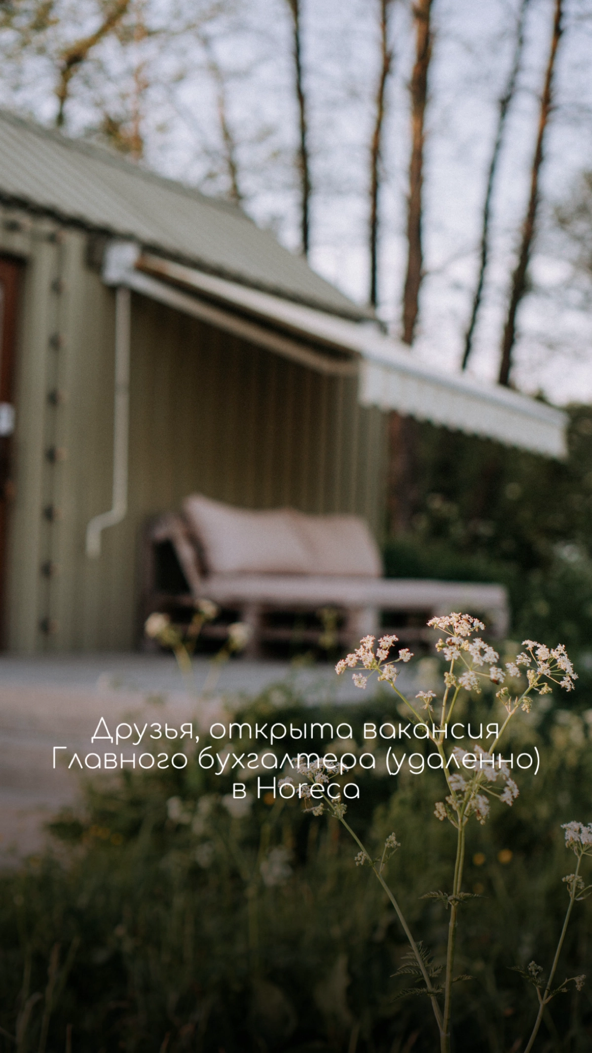 📌Открыта вакансия главного бухгалтера 🧮 | Сетка — новая социальная сеть от hh.ru