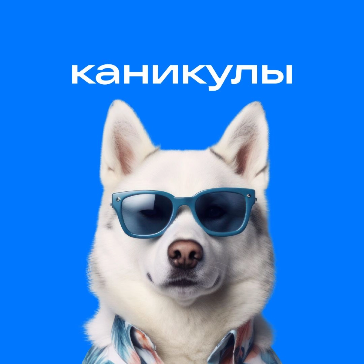 Всем доброго понедельника!
Предлагаю начать неделю с минималистичных отпускных аватарок от команды VK. Для тех, кто пропустил — на позапрошлой неделе я делился аватарками от команды Ozon Tech. | Сетка — новая социальная сеть от hh.ru