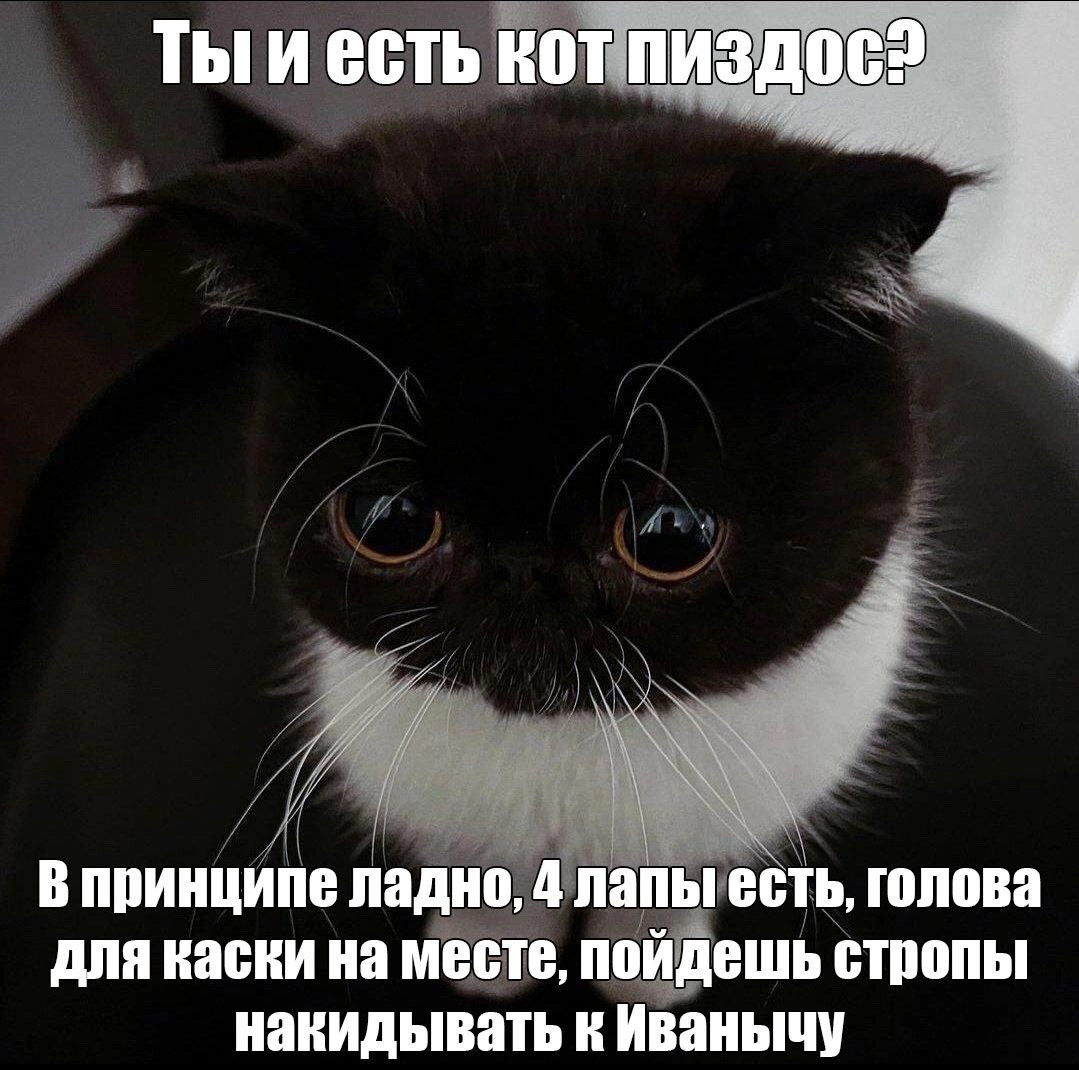  | Сетка — новая социальная сеть от hh.ru