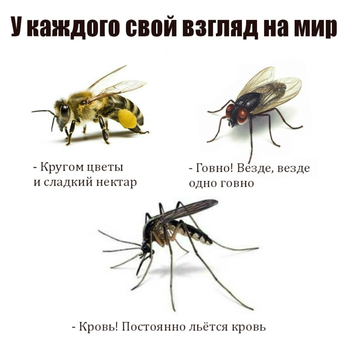Когнитивные искажения – это когда наш мозг начинает хитрить и выдавать желаемое за действительное.  Это мешает продуктовым менеджерам принимать правильные решения | Сетка — новая социальная сеть от hh.ru