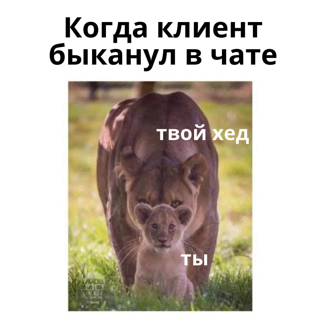 Напоминаю базу | Сетка — новая социальная сеть от hh.ru