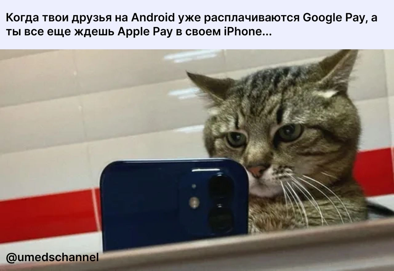 Актуально в Таджикистане 
@umedschannel 
#мем #алиф #таджикистан | Сетка — новая социальная сеть от hh.ru