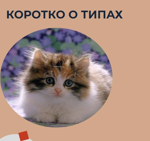 Всем привет! На связи Люба Дружинина, co-founder Розетки⚡️
Предлагаю подглядеть за нашей подготовкой к Нетворкингу без границ | Сетка — новая социальная сеть от hh.ru