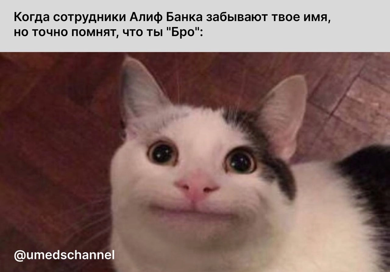 Бро, этот мем чисто в связи с недавним спором в комментариях... и только.
@umedschannel 
#алиф #мем #таджикистан | Сетка — новая социальная сеть от hh.ru