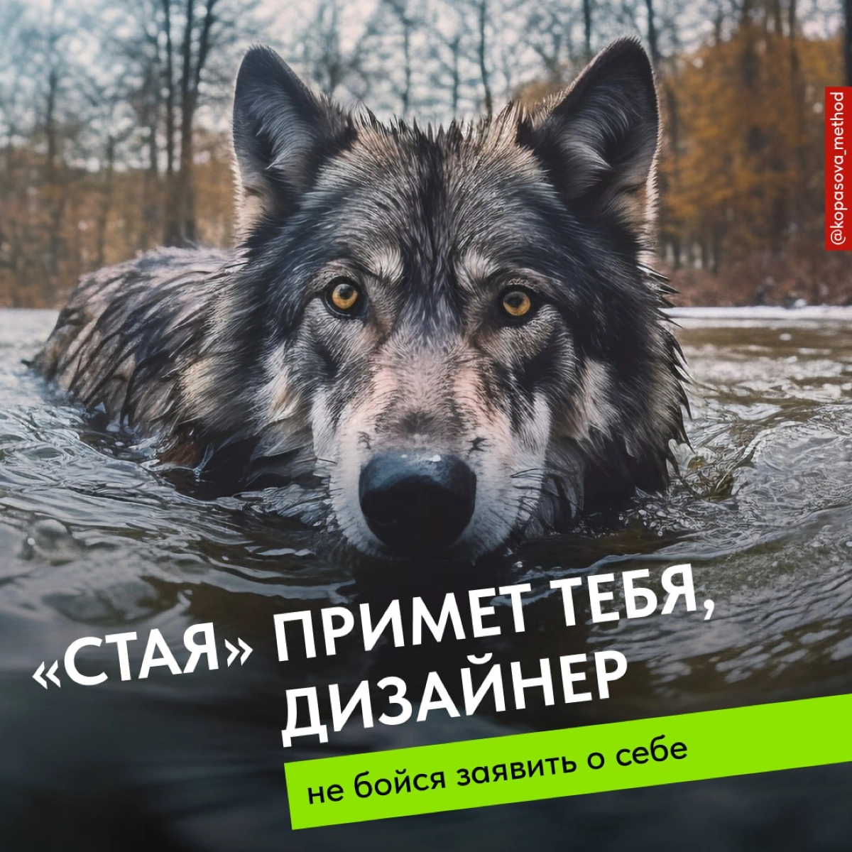 «Стая» примет тебя, дизайнер | Сетка — новая социальная сеть от hh.ru