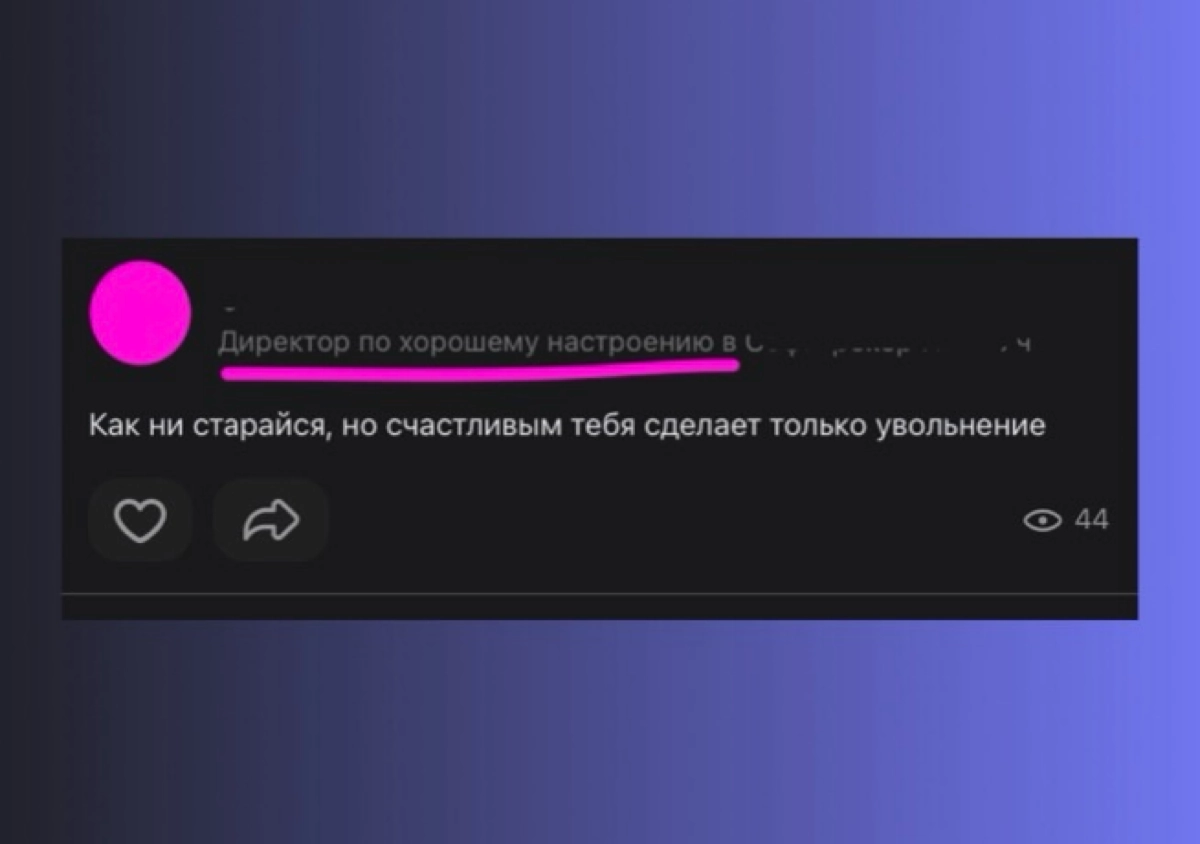 Директор знает толк в хорошем настроении 🤣 | Сетка — новая социальная сеть от hh.ru