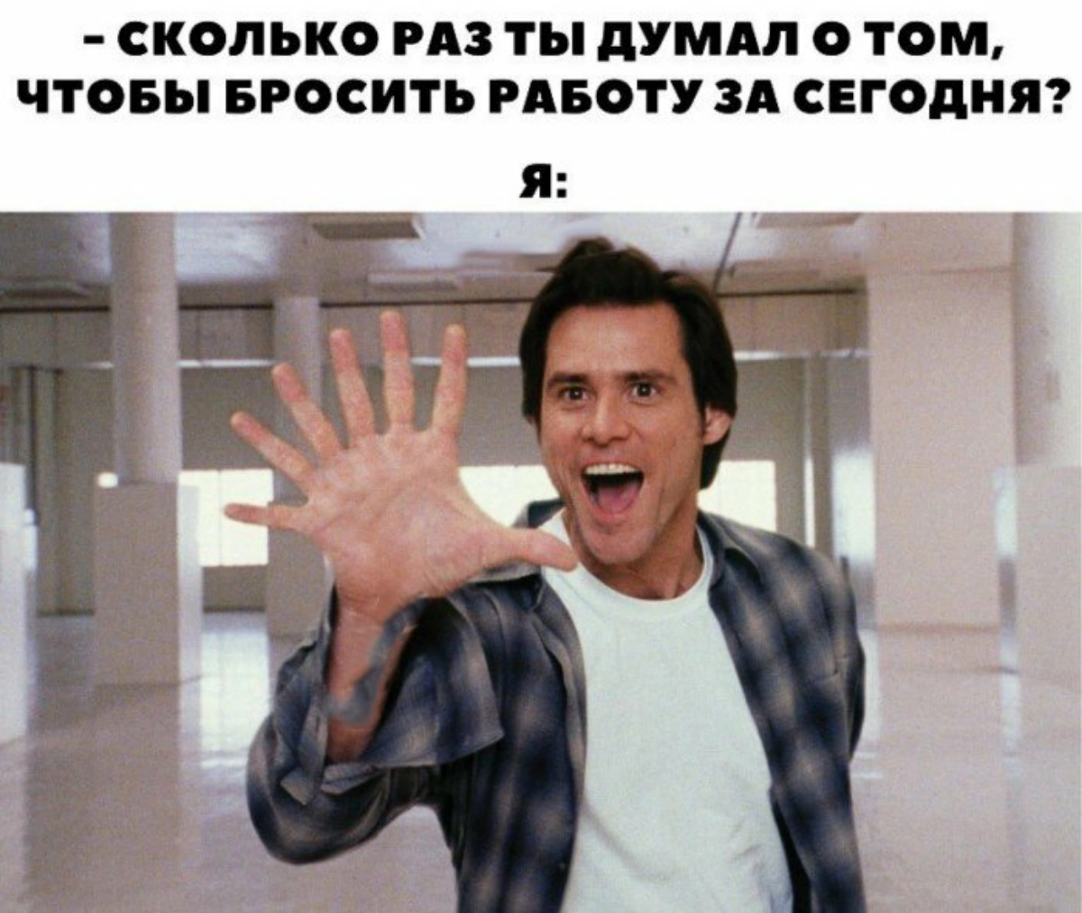 Сетка — социальная сеть от hh.ru