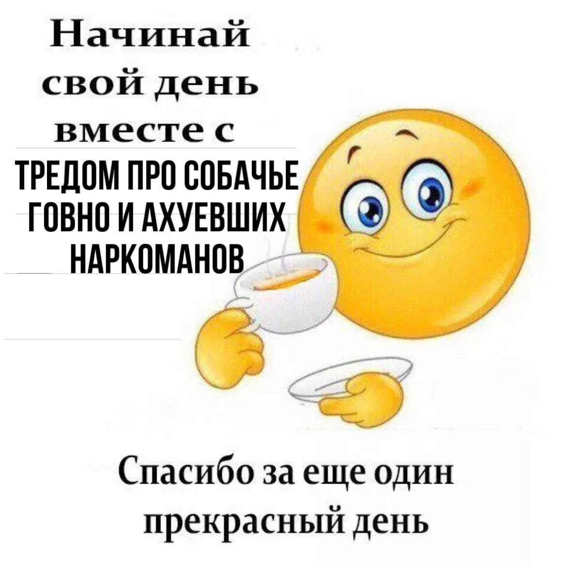 Очередная охунная соевая хуйня из твиттера. Ебаный рот каждый раз одно и тоже. Рекомендую к ощнакомлению. 
https://x.com/asyatsoi/status/1805723943547867306?s=12 | Сетка — новая социальная сеть от hh.ru