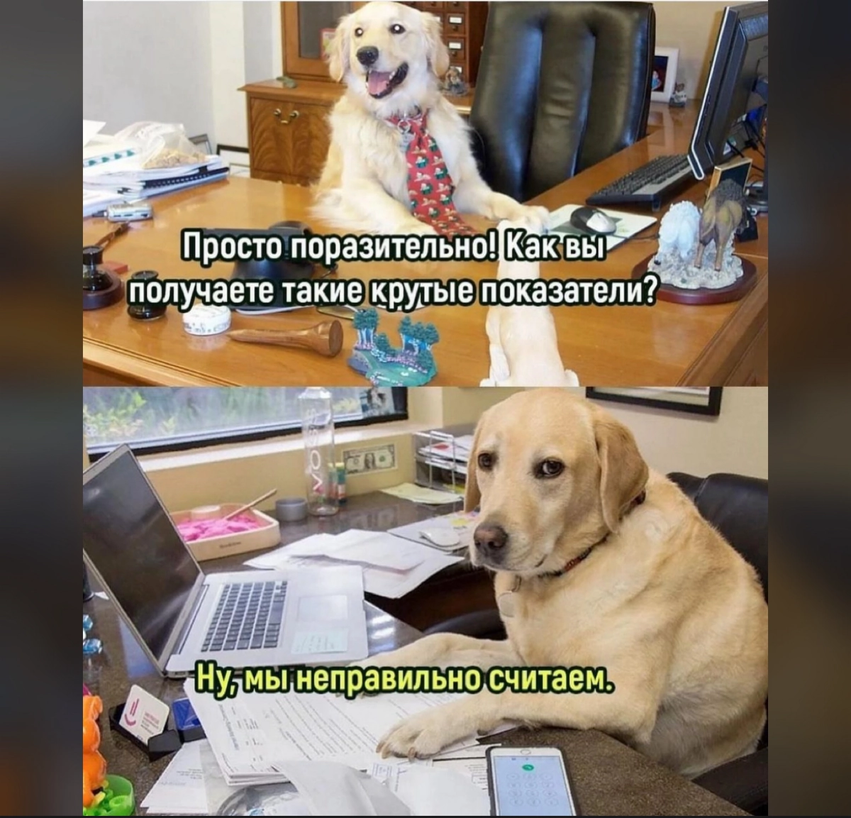Бл… да сколько можно форсить этот мем? | Сетка — новая социальная сеть от hh.ru