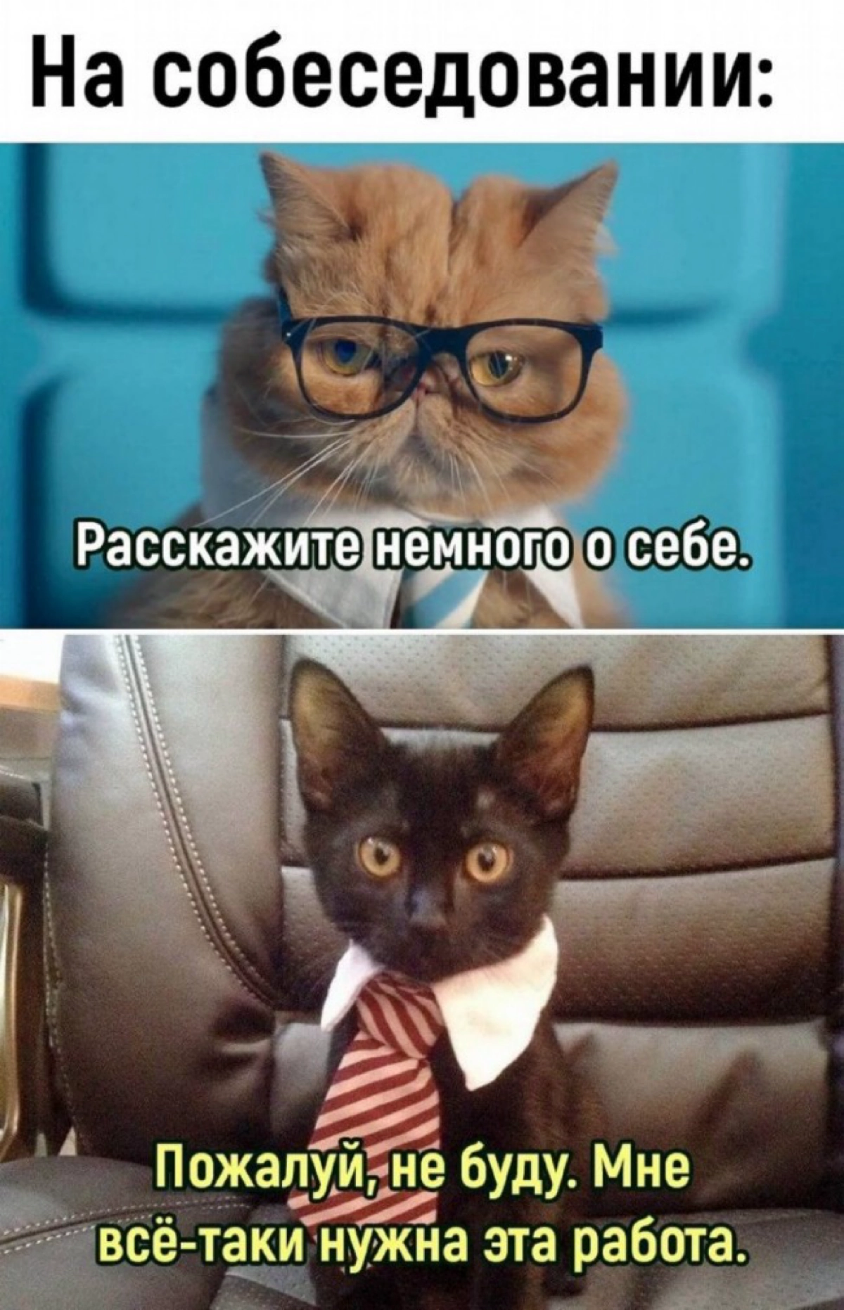 # Tell me about yourself или Как рассказать о себе на собеседовании?
На своих карьерных консультациях на удивление не часто получаю вопрос о том, как правильно рассказать о себе на собеседовании, а зр... | Сетка — новая социальная сеть от hh.ru