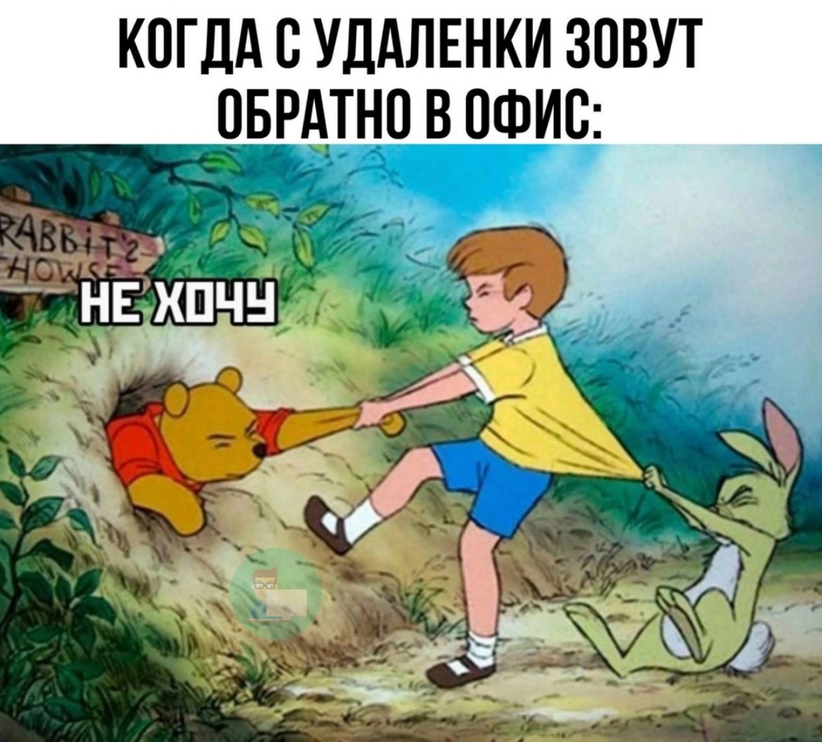 Сетка — новая социальная сеть от hh.ru
