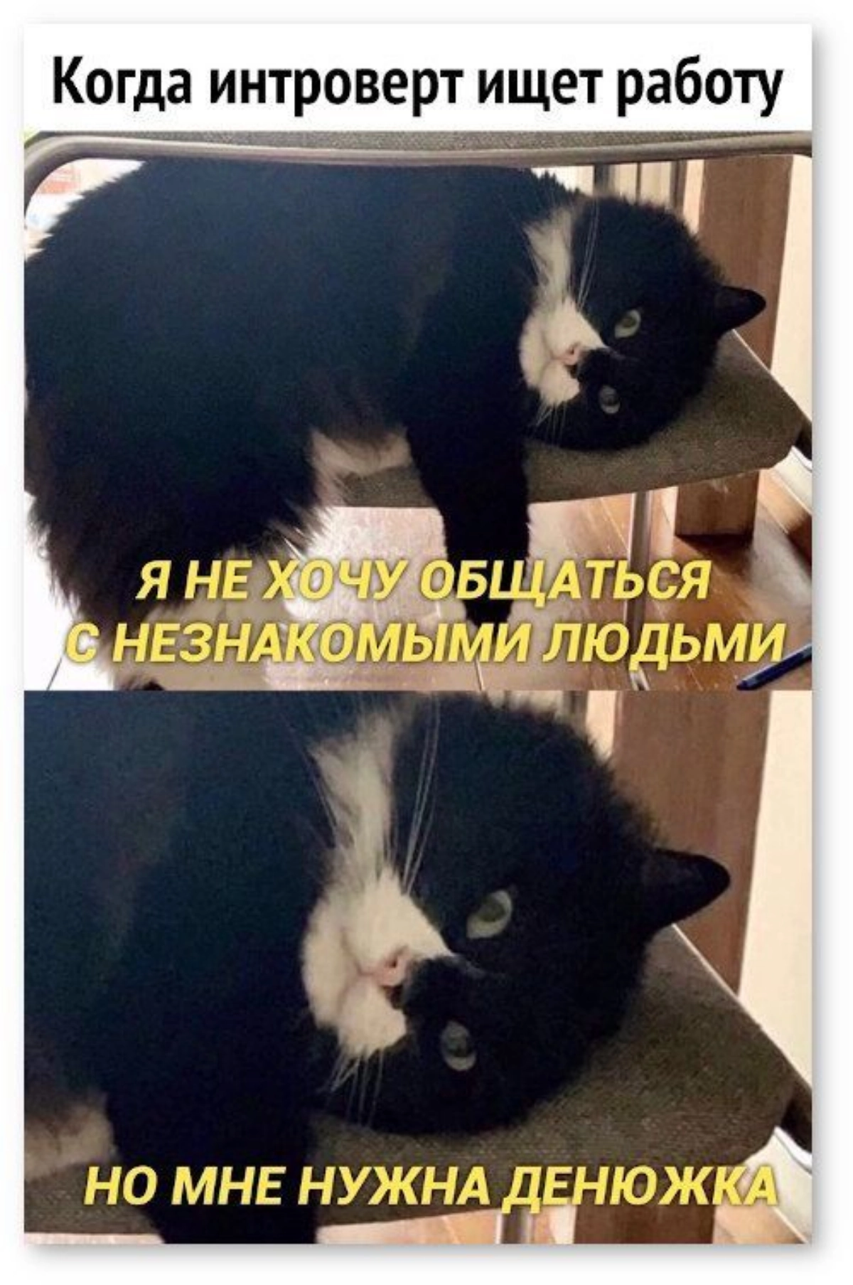 Мем #23 | Сетка — новая социальная сеть от hh.ru