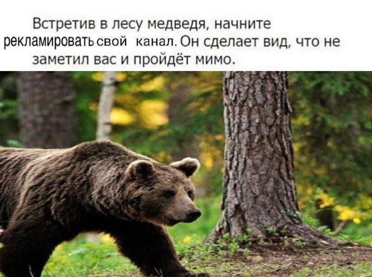 Как я успеваю больше большинства | Сетка — новая социальная сеть от hh.ru
