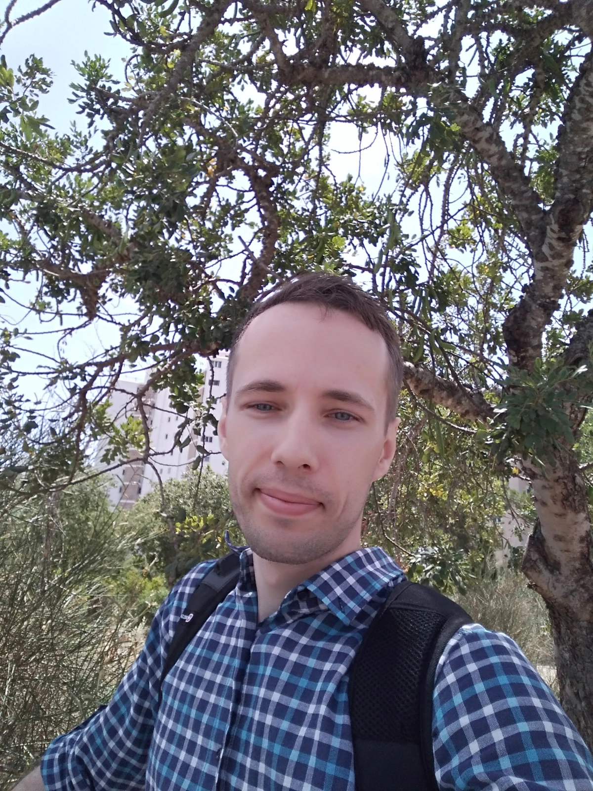 profile avatar