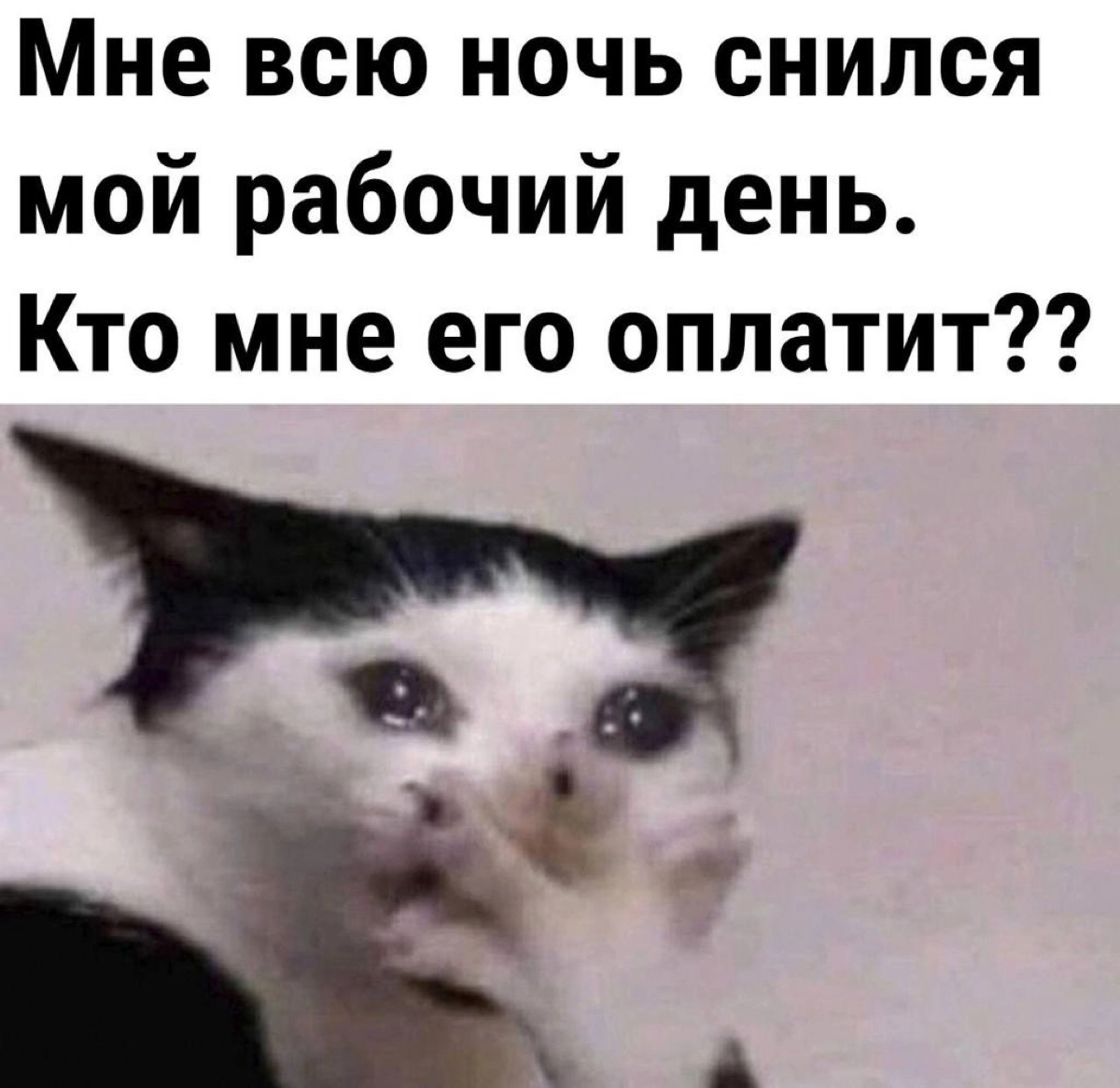 А мне снились первые 2 дня больничных сотрудников. Кто их оплатит?) | Сетка — новая социальная сеть от hh.ru