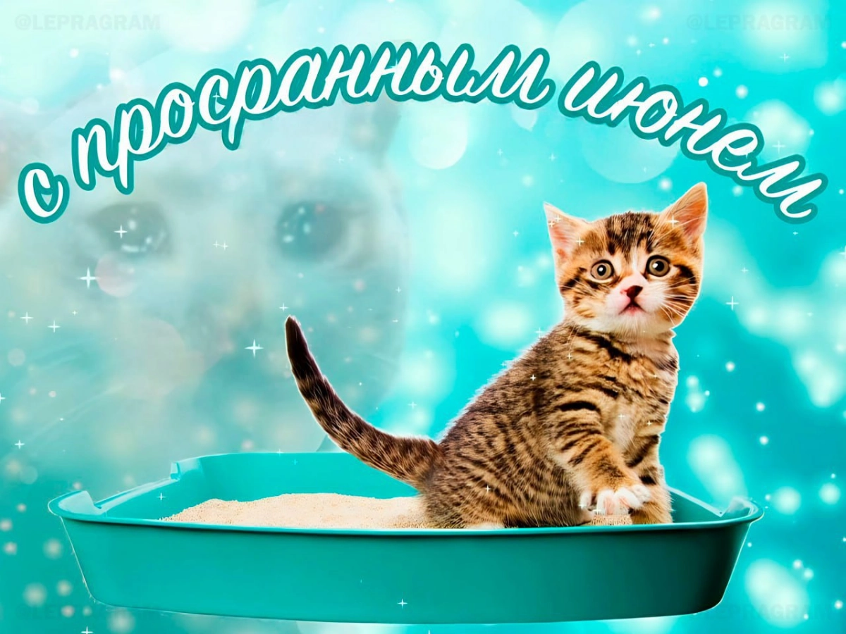 Мем #24
Всех с праздником! | Сетка — новая социальная сеть от hh.ru
