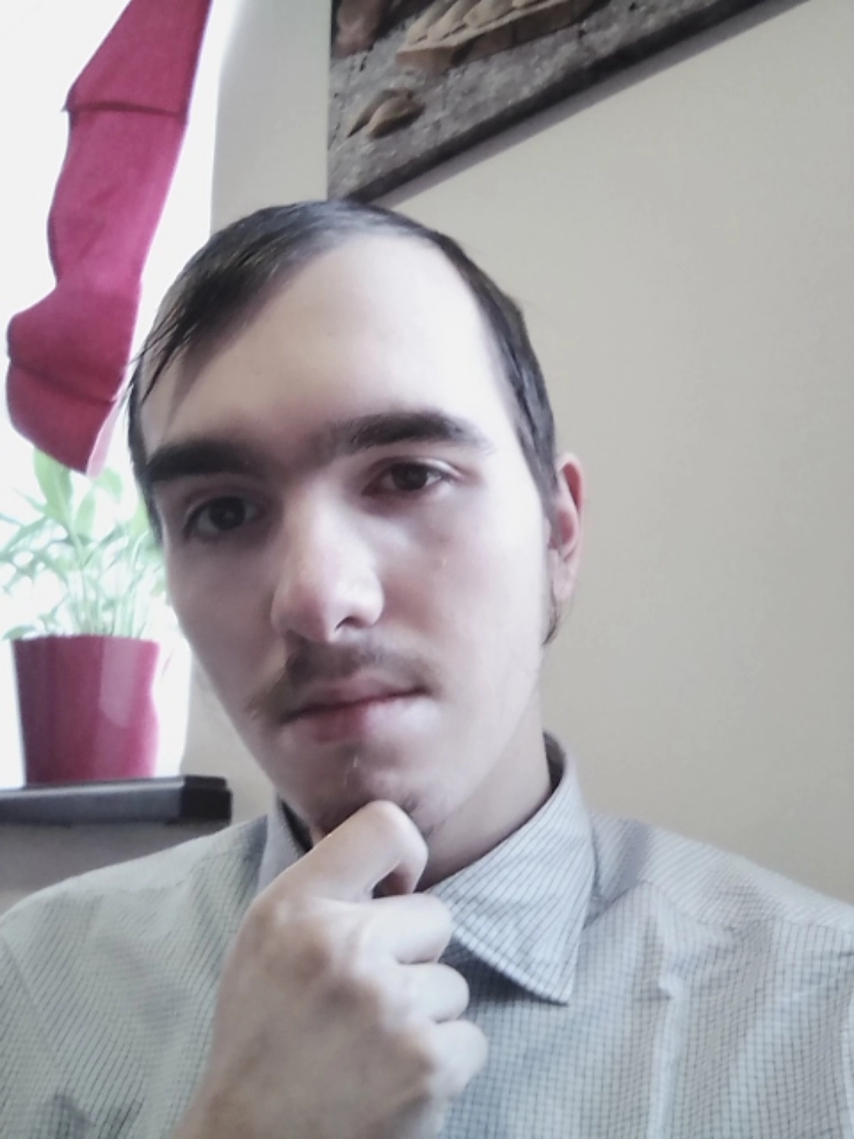 profile avatar