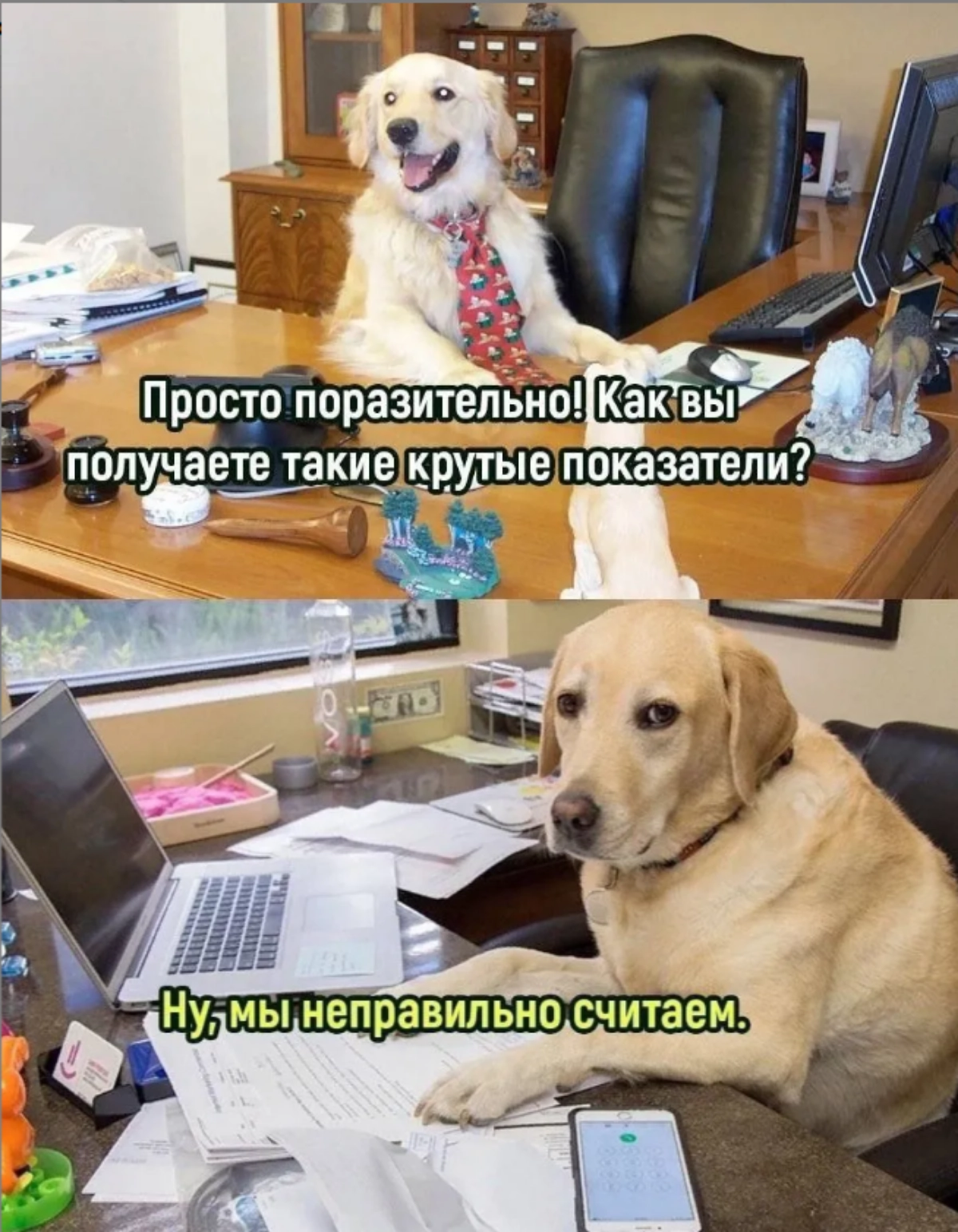 Привет, Сетка! | Сетка — новая социальная сеть от hh.ru