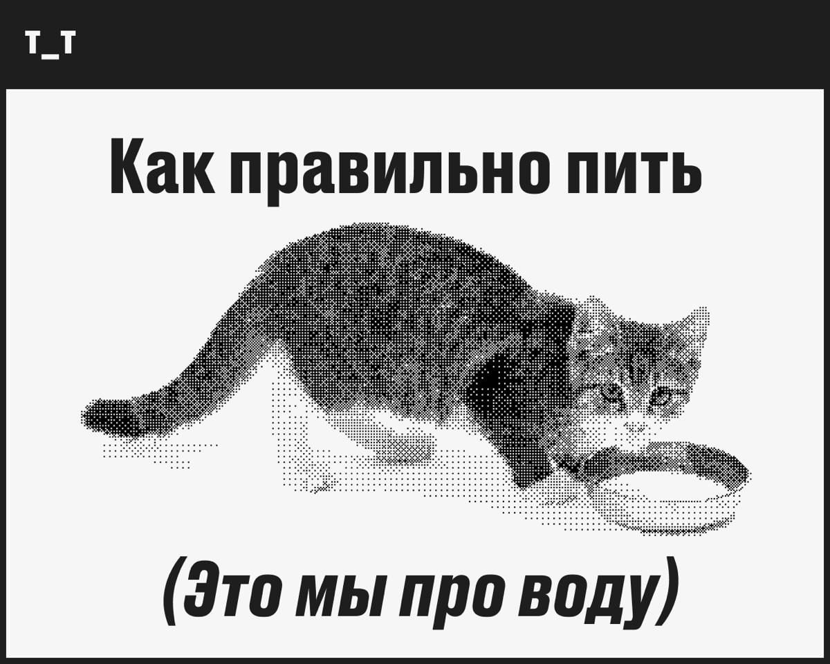Не только вода…
Что пить, когда плавится асфальт | Сетка — новая социальная сеть от hh.ru
