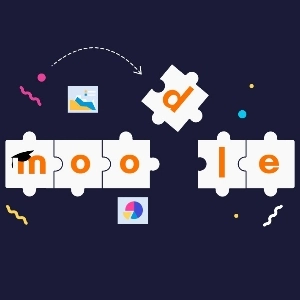 community avatar