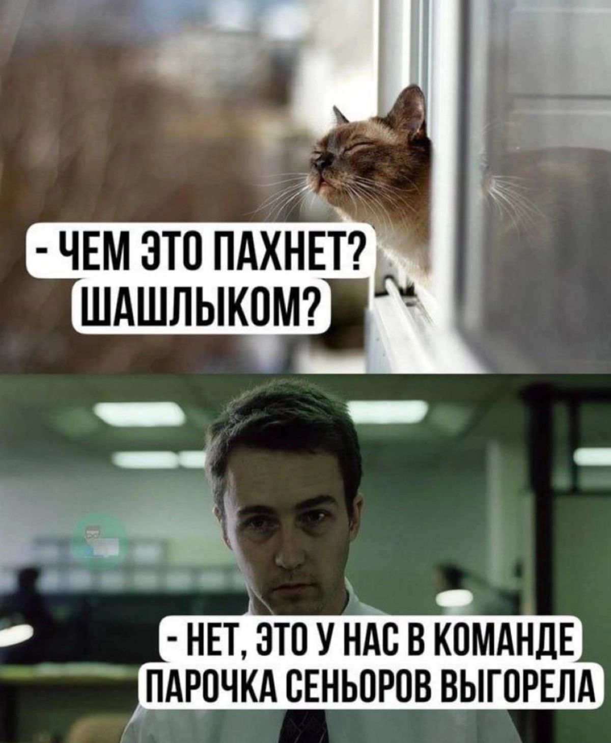Сетка — новая социальная сеть от hh.ru