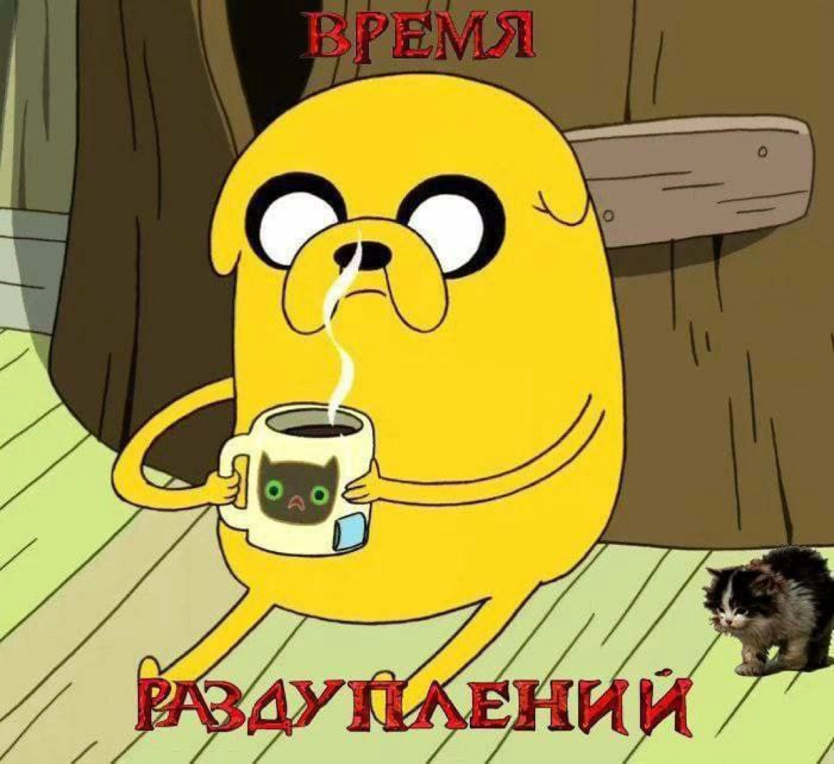 Проснулись, потянулись | Сетка — новая социальная сеть от hh.ru