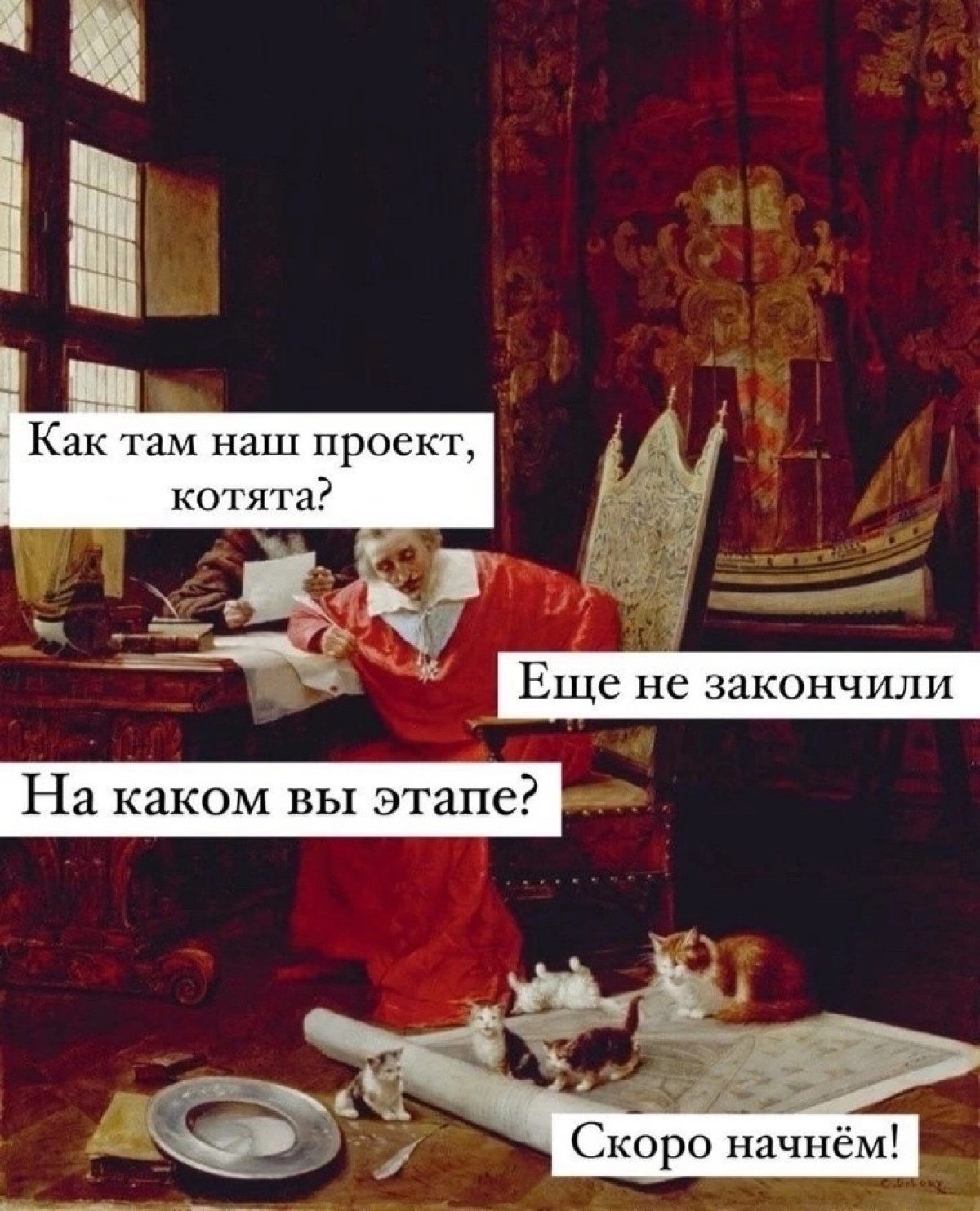 Мемасики с котятками-мое любимое 🥰 | Сетка — новая социальная сеть от hh.ru