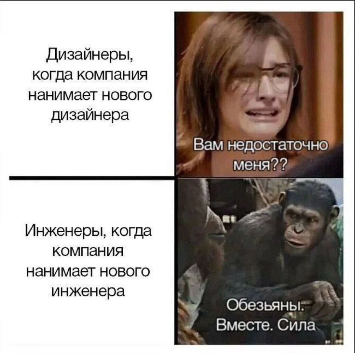 Сетка — новая социальная сеть от hh.ru