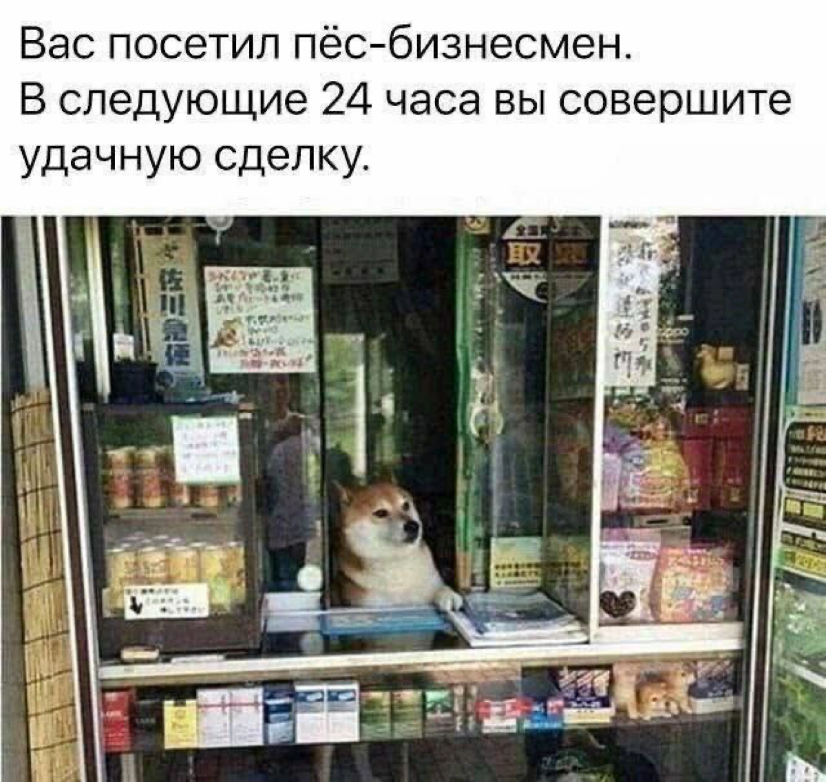 Сетка — новая социальная сеть от hh.ru