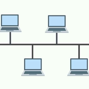 Warriors of the Net