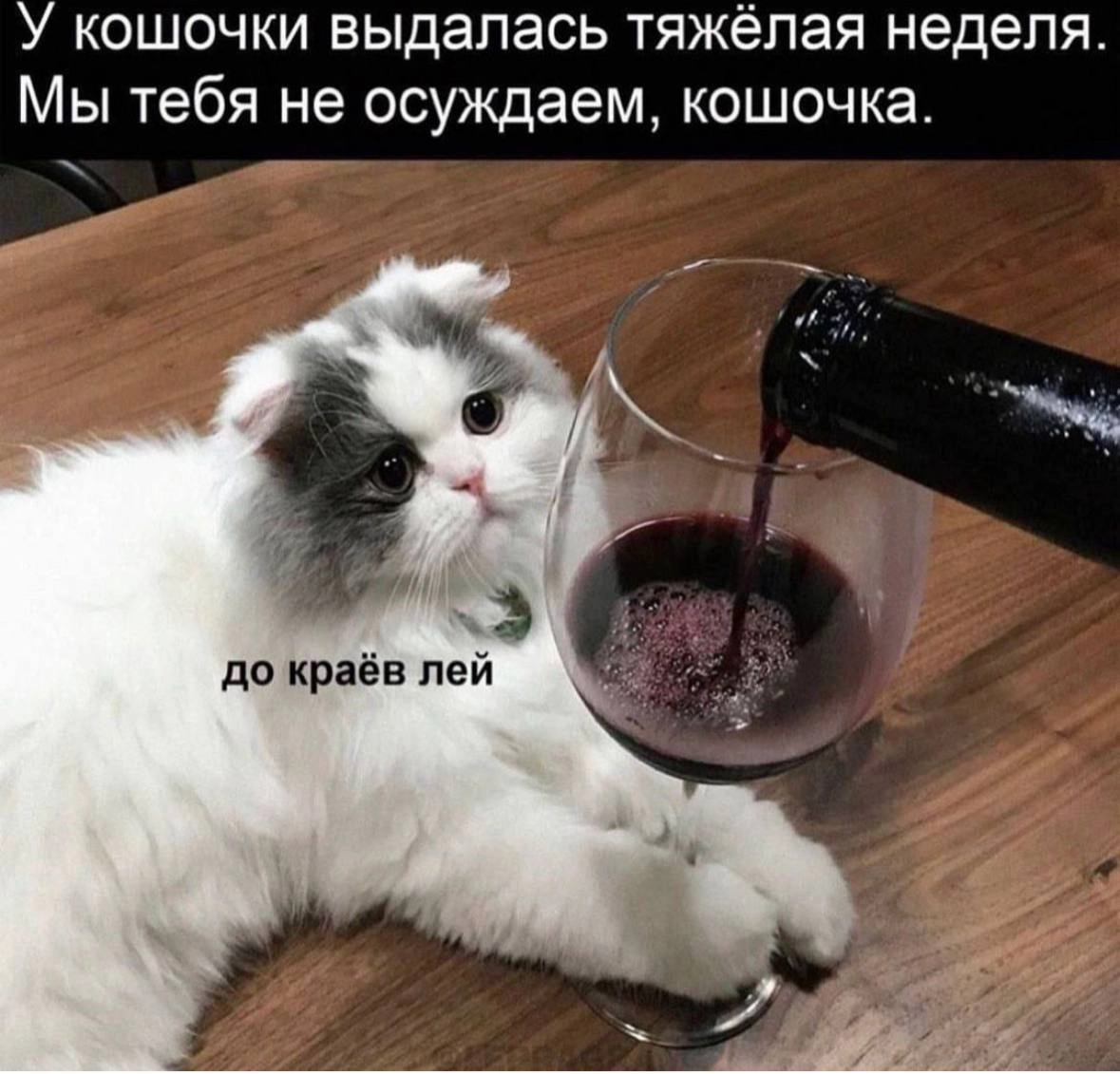 Сегодня пятница, а это значит пора обмениваться мемами! На прошлой неделе был самый популярный мема от Марии и Анастасии они👆
Спасибо за активность!)
Публикуй мемы в комментариях и голосуй за другие л... | Сетка — новая социальная сеть от hh.ru