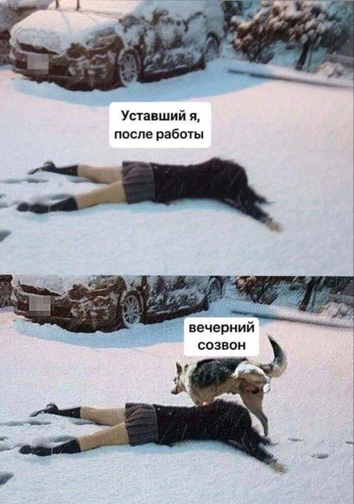 Сетка — новая социальная сеть от hh.ru
