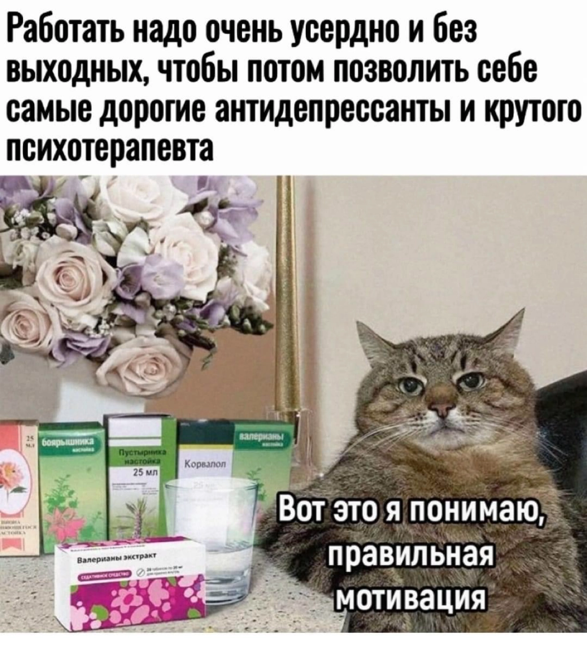 Сетка — новая социальная сеть от hh.ru