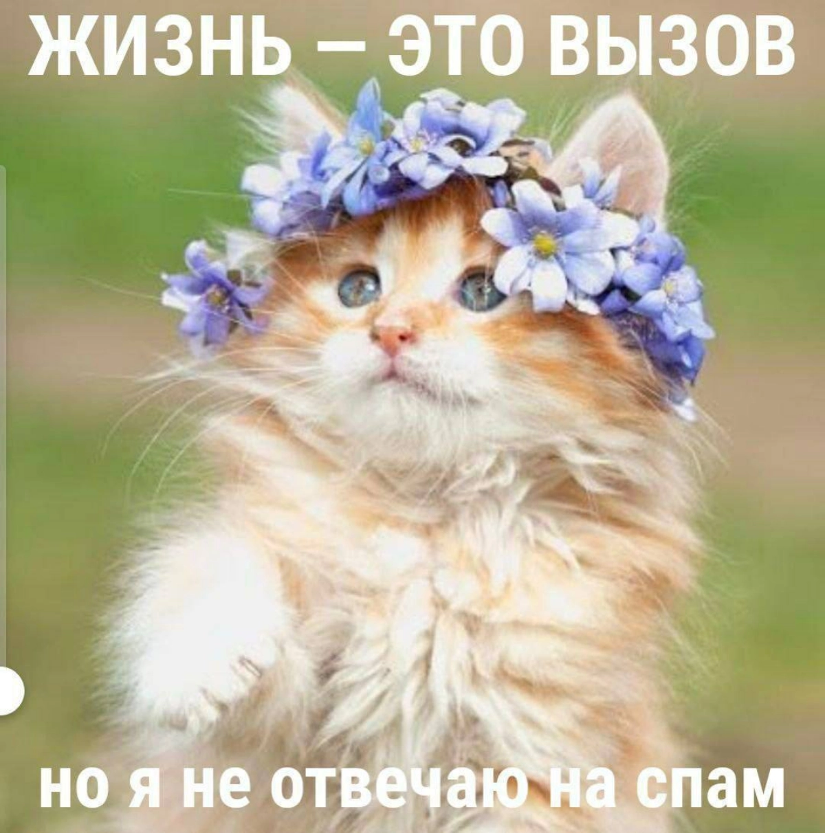 Сетка — социальная сеть от hh.ru