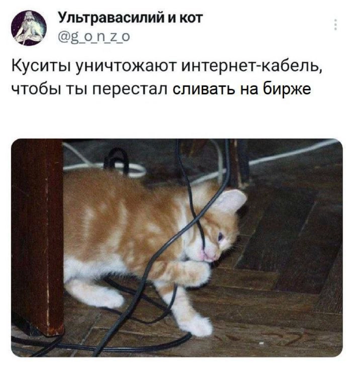 Сетка — социальная сеть от hh.ru