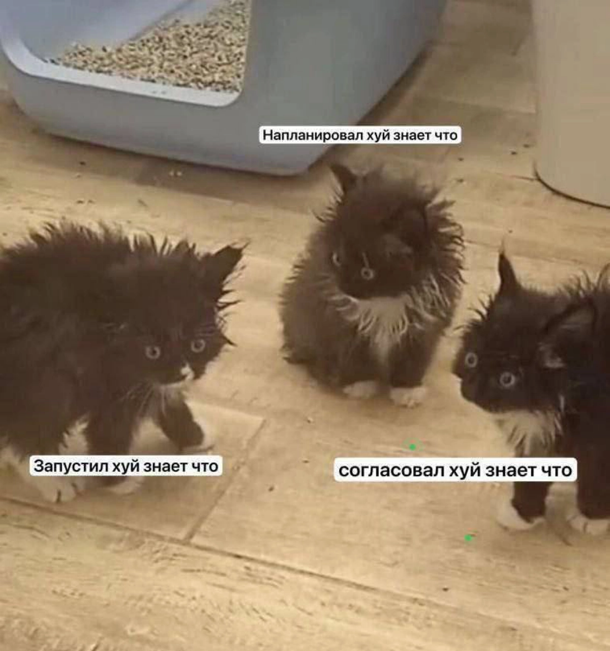 Мем смешной, ситуация страшная | Сетка — новая социальная сеть от hh.ru
