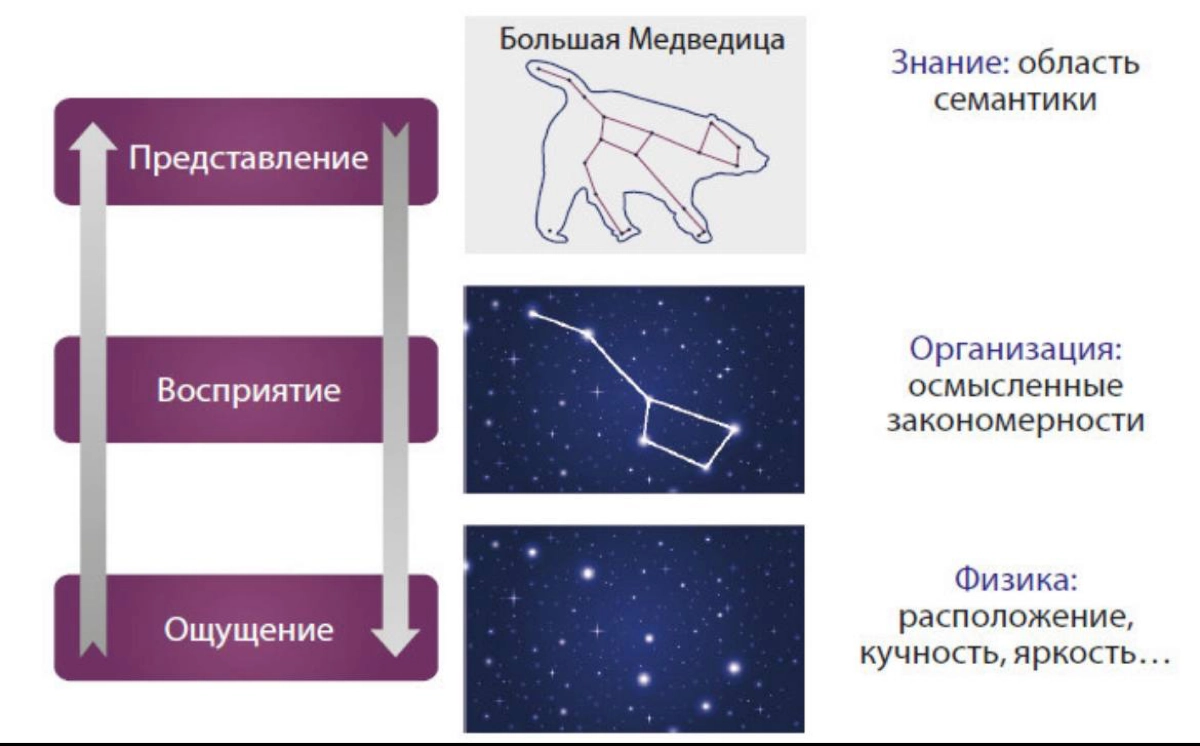 Процесс восприятия 
#theory | Сетка — социальная сеть от hh.ru