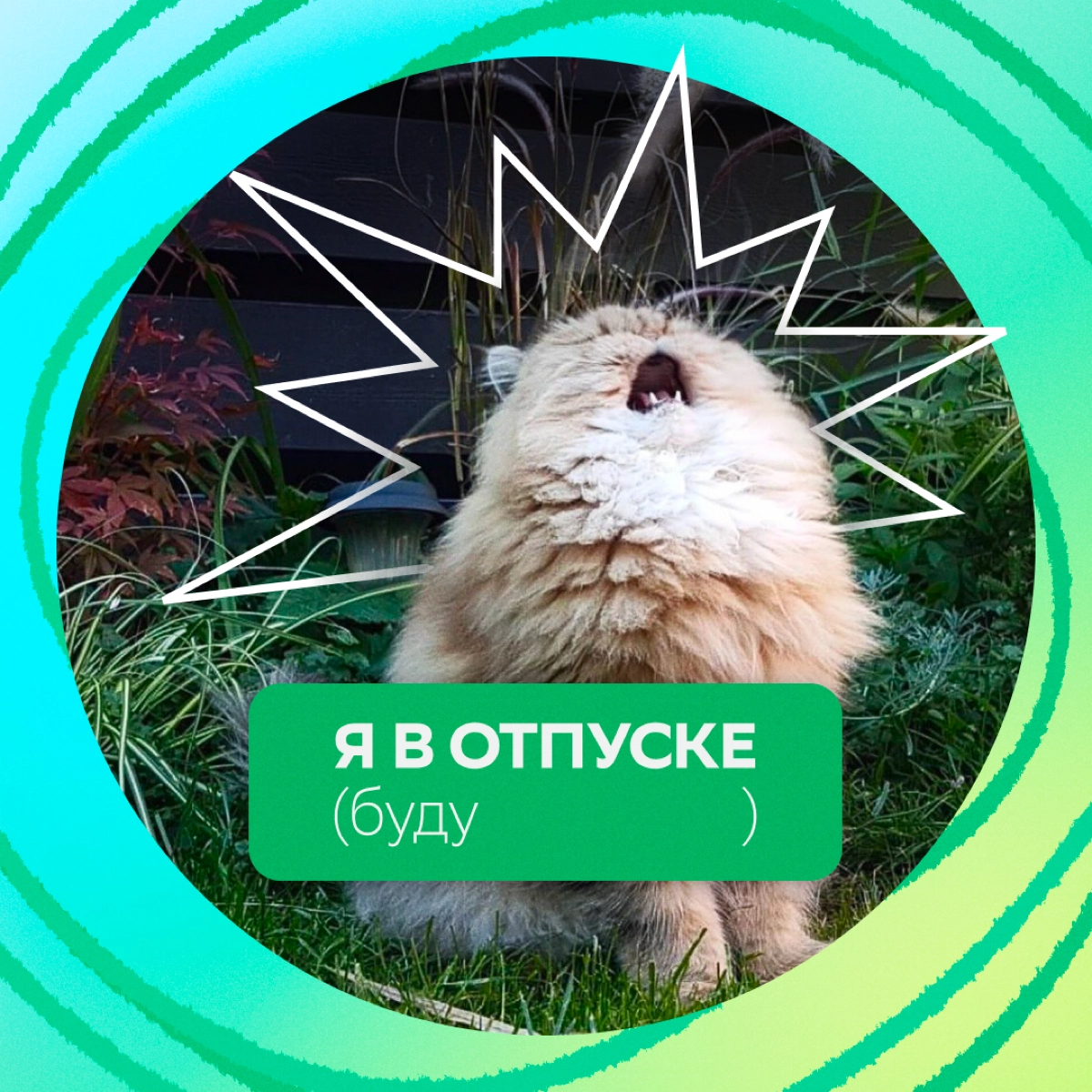 Вот и Сбер поделился отпускными аватарками для мессенджеров. | Сетка — новая социальная сеть от hh.ru